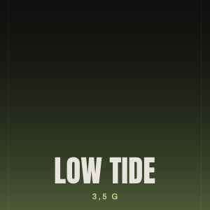 Low Tide