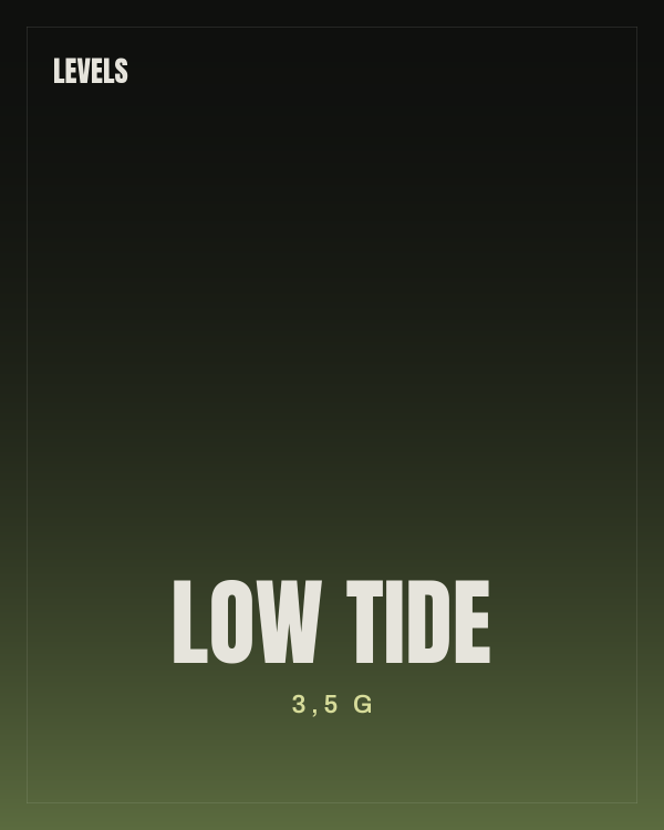 Low Tide
